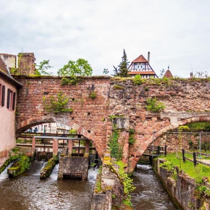 Appartements « La Parenthese » Wissembourg Exterior photo